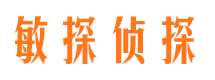 林芝市侦探调查公司